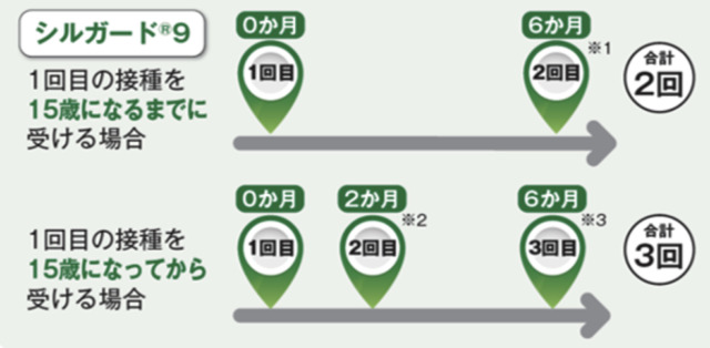 シルガードの接種スケジュール